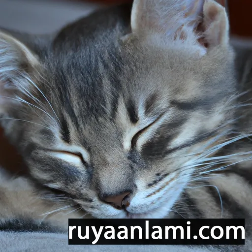 Dream About Taking Care of Kittens